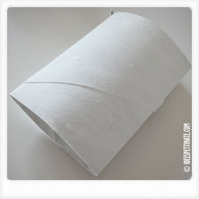 toilet paper 2